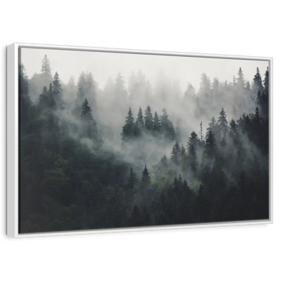 Misty Forest Mountain
