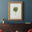 «Lucky Charm I» - Impression-1955274308