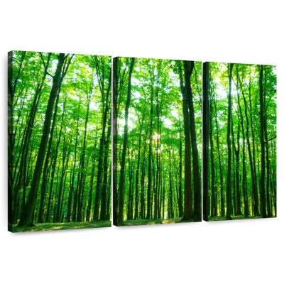 Alvord Sunlit Green Forest