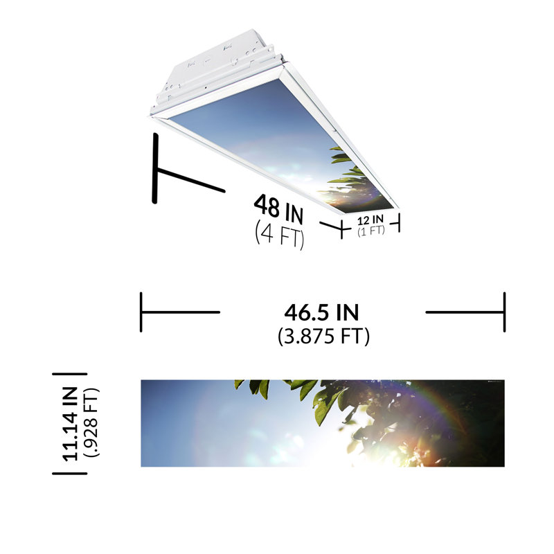 Tree Rectangle Fixture Component Ceiling Light