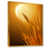 Gold Floater Framed