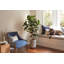5FT Artificial Fig Tree KD