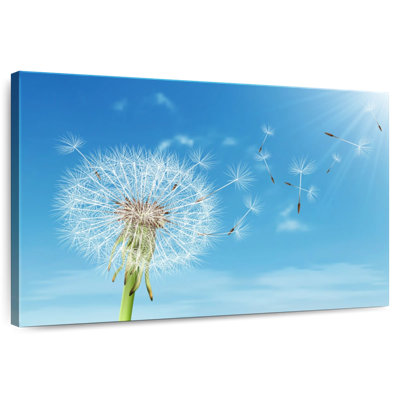 Harnek Dandelion Seeds Afloat