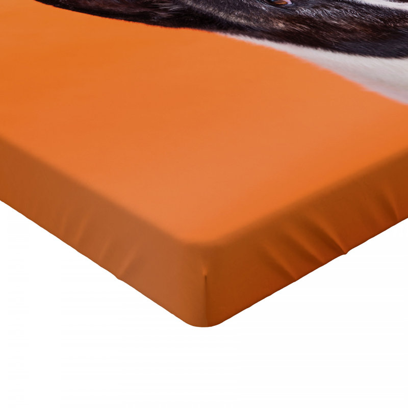 Microfiber Fitted Sheet, Queen Fitted Sheet