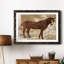 Cheval occidental I - cadre photo-1547326355-1547326364