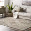 Tapis traditionnel carreauté gris / beige tissé à la machine Daye-428753219