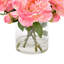 Peonies Arranged in Glass Vase-1080093595