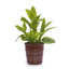 3 pots de fleurs en céramique, pot de fleurs moderne pour patio, jardin ou rebords de fenêtre-849017905