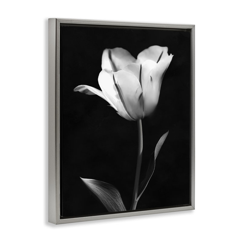 Cadre flottant Modern, Cadre flottant gris lustré, H 31 po x l 25 po