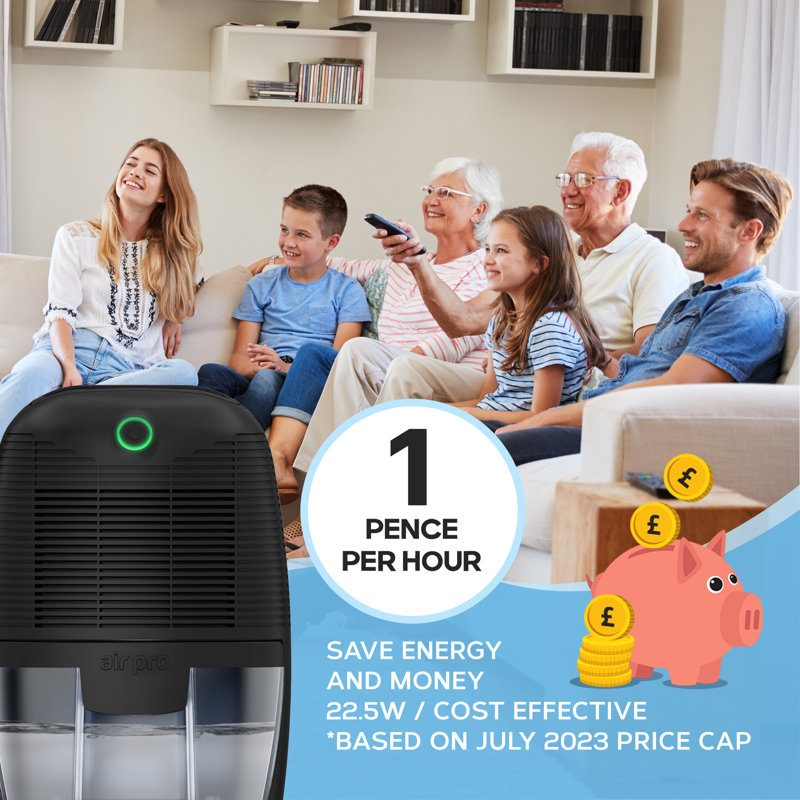 Mini Dehumidifier Portable Electric Mould & Damp Remover 600ml, Black