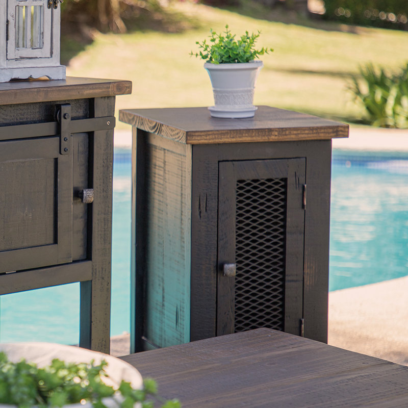 Dansby 1 Mesh Door Accent Cabinet, Black