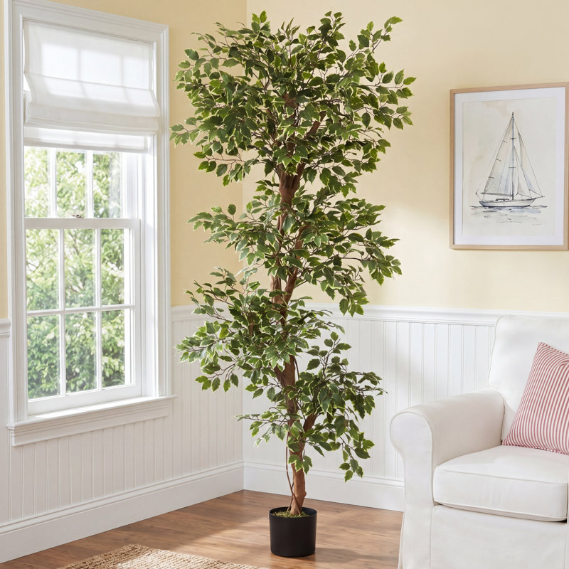 66'' Faux Ficus Tree in Pot