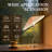 Modern Gold Pleated Table Lamp