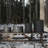 Tall Metal Plant Pot-1168429021