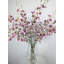 Arrangement d'orchidées dans un vase