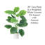 Plante en faux pot 28 po Riggs