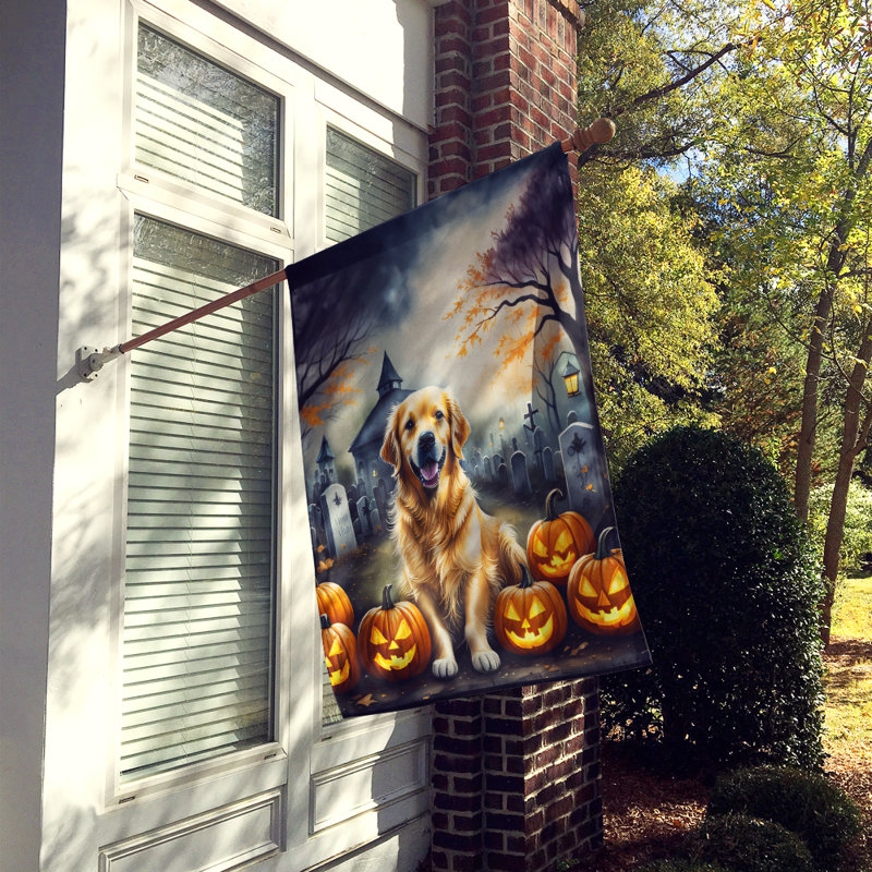 Drapeau de maison d'Halloween en polyester à double face H 40 po x l 28 po