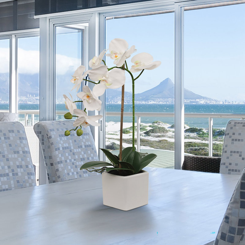 23" Artificial White Phalaenopsis Orchid in 5" White Cube Pot