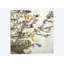 «Flock Together», reproduction sur toile-30007020-72422252
