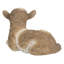 Baby Lamb Lying Down-50844492