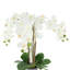 Orchidées disposées dans un vase décoratif en céramique