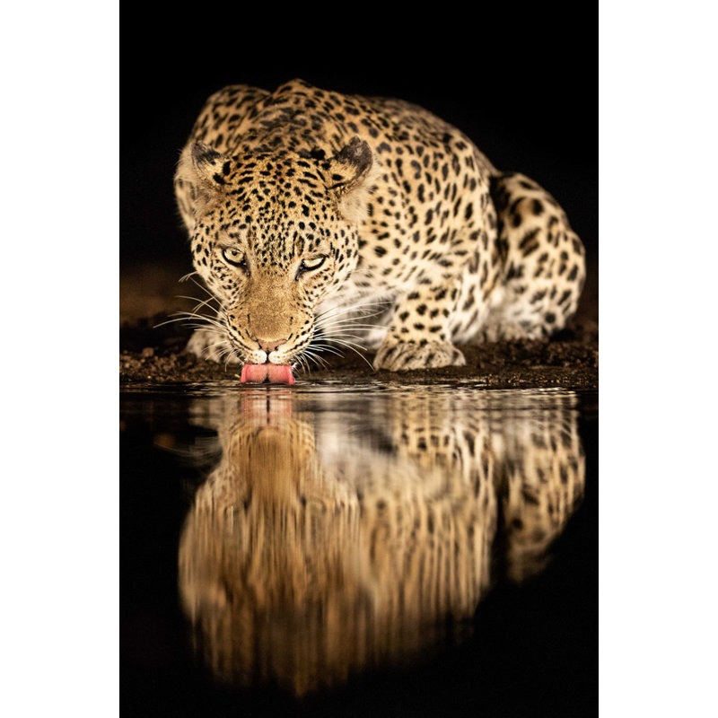 Wrapped Canvas Print, 81.28 cm H x 121.92 cm W