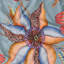 Thanda Nests Tablecloth - Cotton-1145129504-1145129506