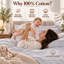 Ensemble de draps 4 pièces, 100 % coton, 800 fils/cm², format California King, gris pâle-136169113-136169123