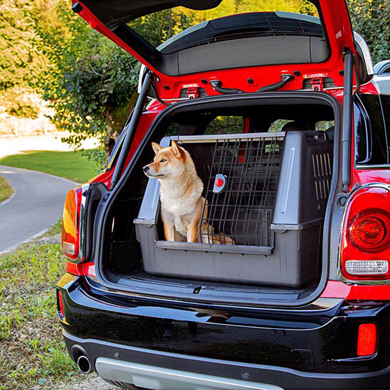 with 2 Doors
