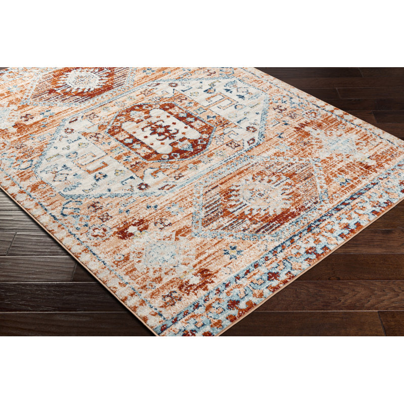 Aldusa Oriental Indoor Rug, Rectangle 5'3" x 7'