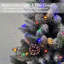 Lighted Artificial Christmas Tree-2134938996