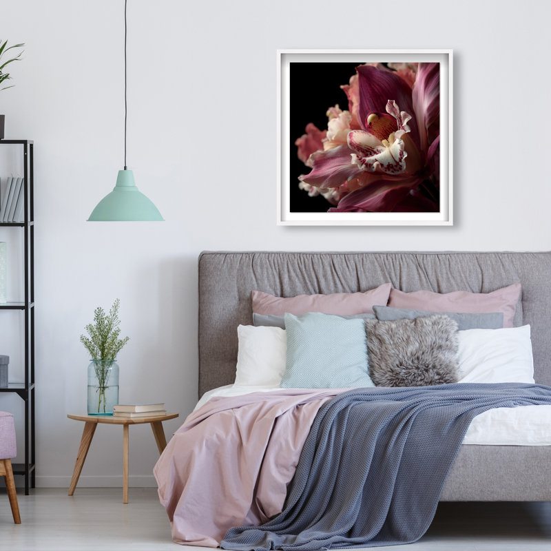 Velvet Labellum Print by Oliver Gal, 31.5"H x 31.5"W, White Shadowbox