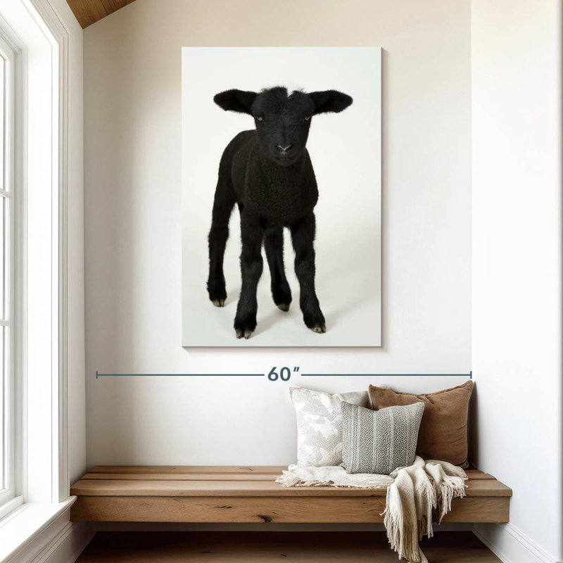 Black Baby Sheep, 48" H x 32" W