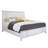 Standard Bed-28851548