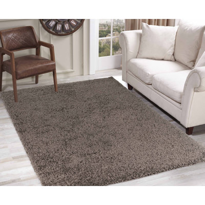 Esterly Shaggy Taupe Rug