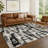 Machine Washable Indoor/Outdoor Chantille ACN2663 Casual Rug-817471332-817471352