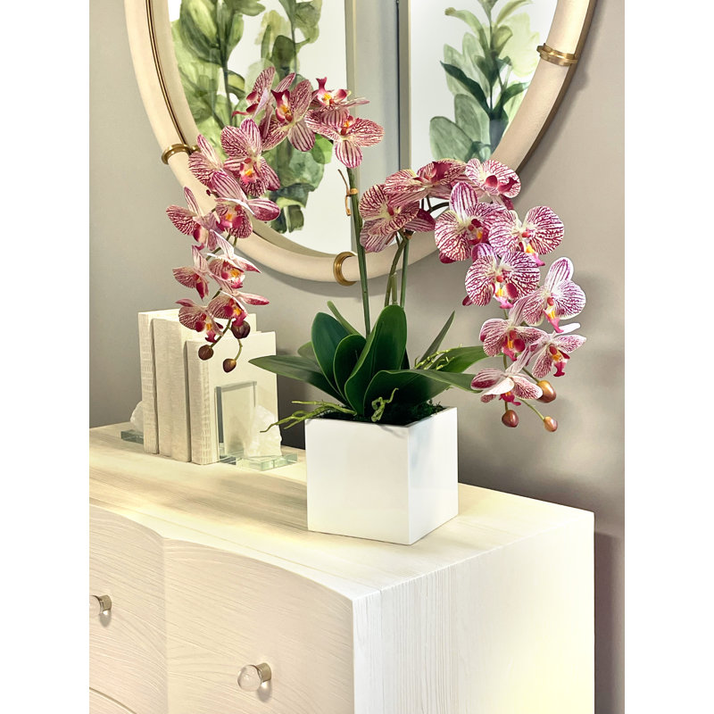 Orchid Arrangement in Square Fiberstone Pot, Pink