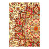 Jaiman One-of-a-Kind 9'11'' X 6'6'' Hand Knotted Area Rug