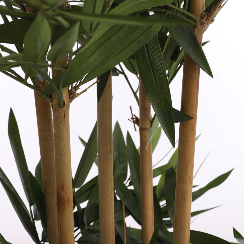 150cm Bamboo Tree in Pot