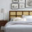 Luana Cane Mid-Century Modern Headboard by Modway-784543645-784543644