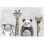 Bellago No Frame Painting on Canvas-1049763462
