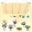 YHSNFJING Grow Light