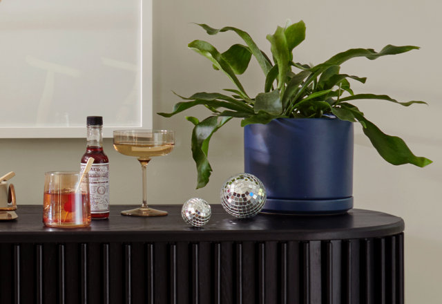 Planters for Indoors + Out