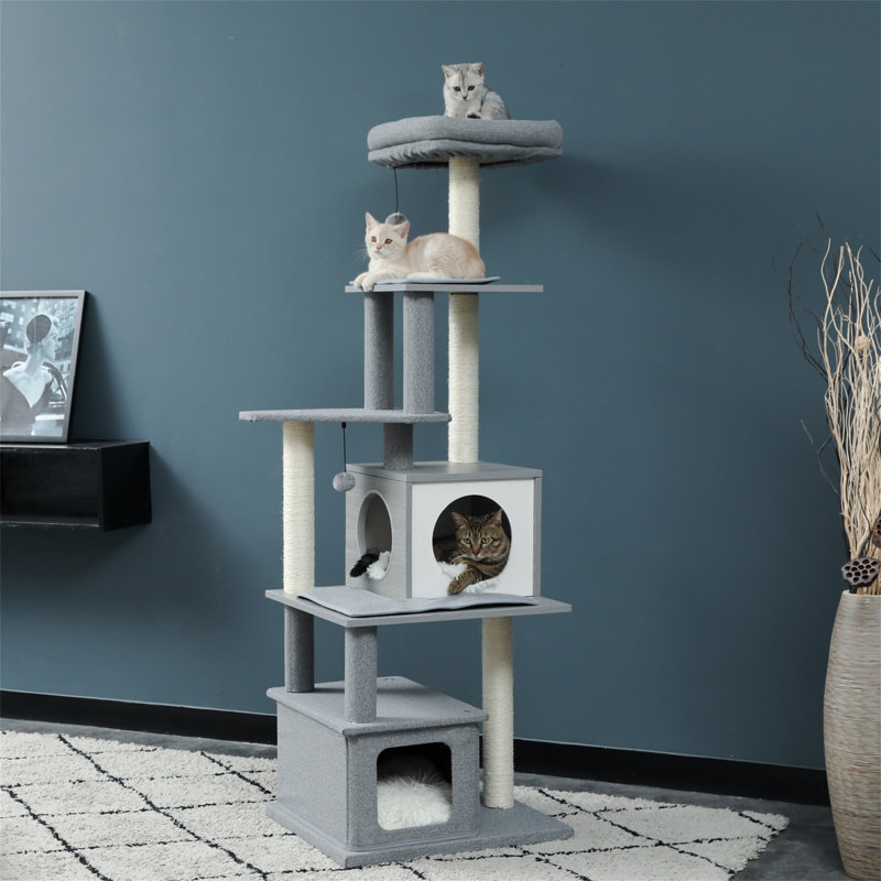 Depuy 61.8'' H Cat Tree