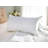 Wayfair Sleep™ Polyester Plush Pillow-733058121