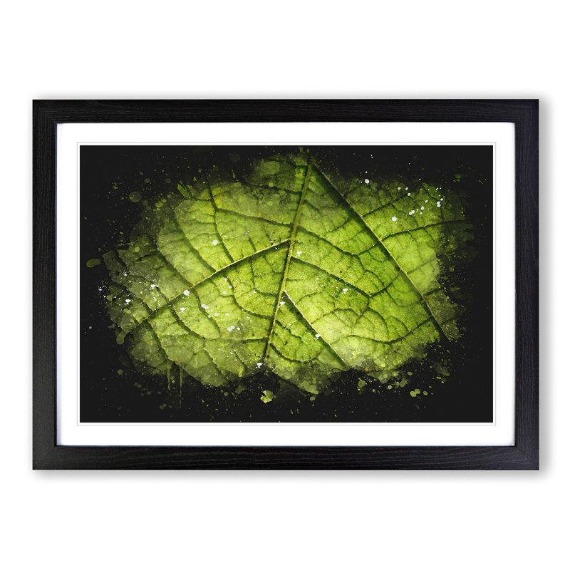 Leaf Roads Paint Splash - Picture Frame Graphic Art, 24cm H x 33cm W x 2cm D, Black Framed