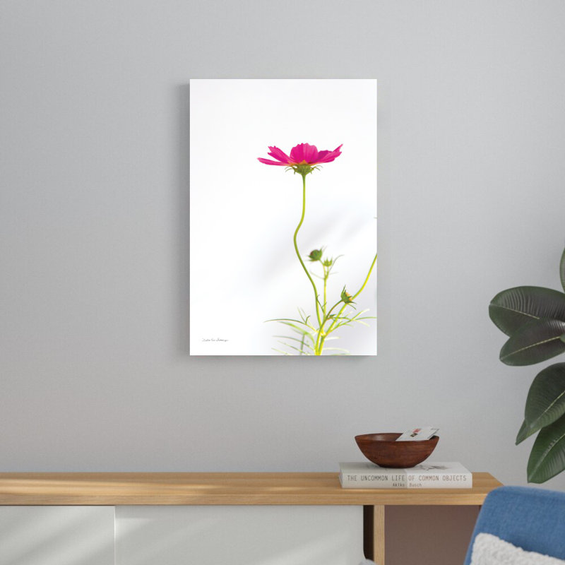 Magenta Cosmos II - imprimé, H 30 po x l 20 po