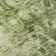 Premium Machine Washable Cerrito AMF577 Olive Rug