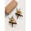 Boutonnières Ling's Moment en brun noyer et beige sable (ensemble de 2)-134044726