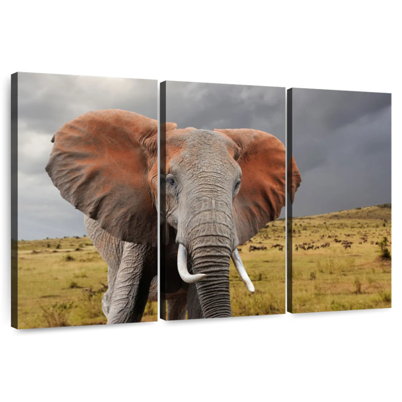 African Elephant, 36" H x 57" W